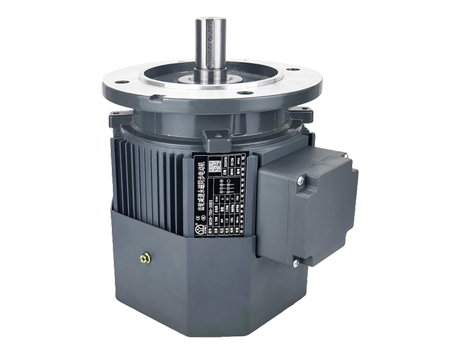 IM B5 H71-112<br>(DY系列永磁同步電機)